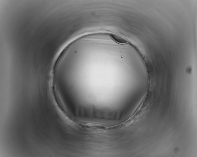 X0000102511524200808221806