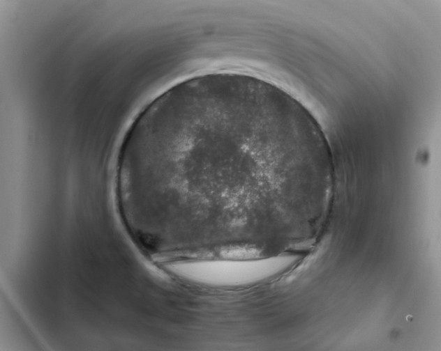 X0000102511525200808221806