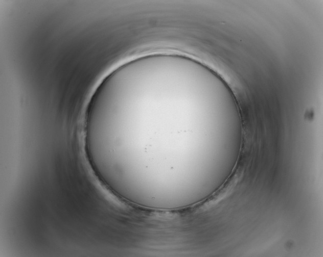 X0000102511526200808221806