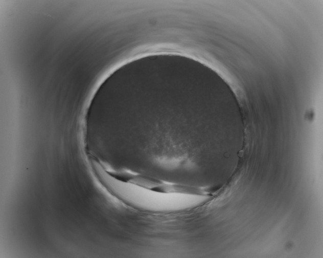 X0000102511527200808221806