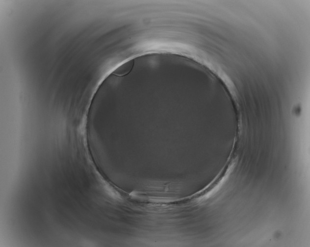 X0000102511529200808221806