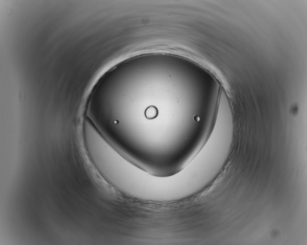 X0000102511530200808221806
