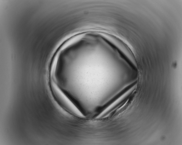 X0000102511531200808221806