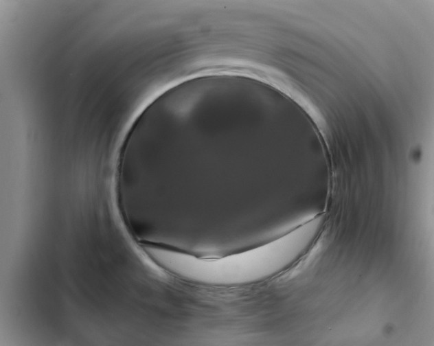X0000102511533200808221806