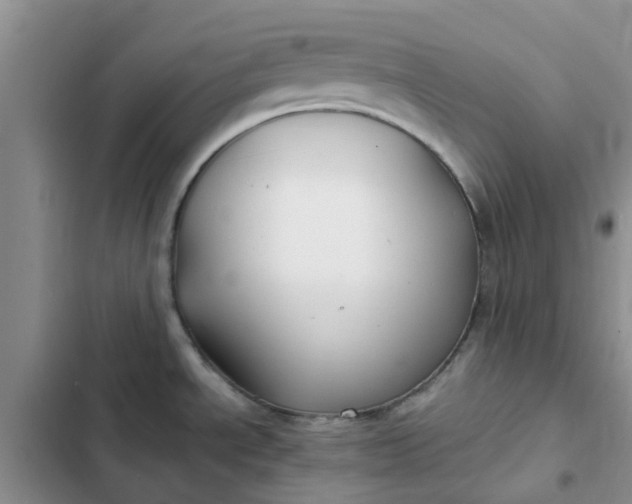 X0000102511534200808221806