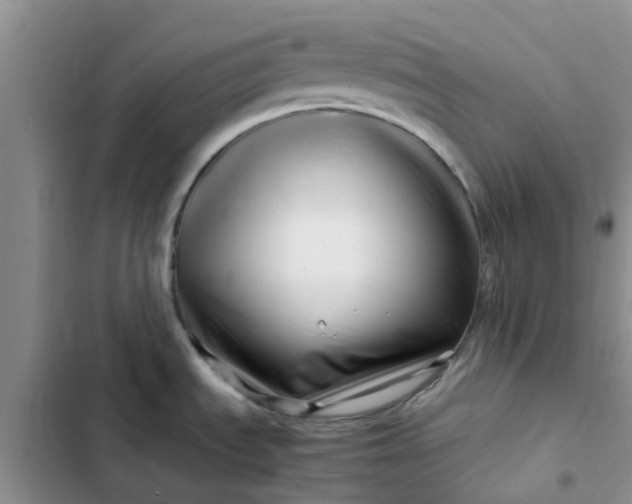 X0000102511535200808221806