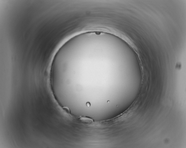 X0000102511536200808221806
