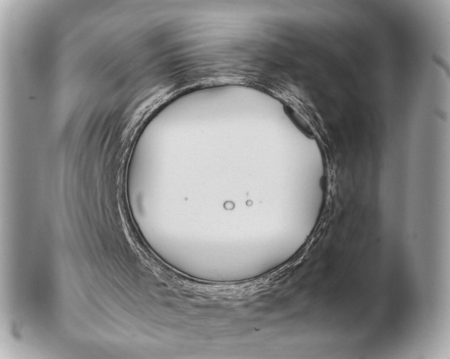 X0000102510001200808291745