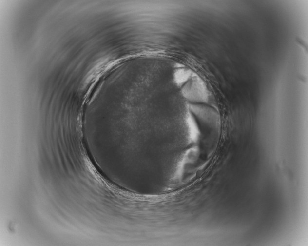 X0000102510002200808291745