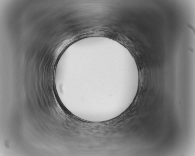 X0000102510003200808291745