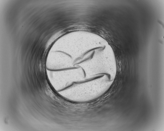 X0000102510004200808291745