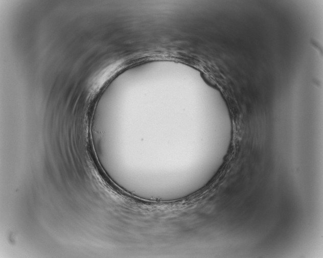 X0000102510005200808291745