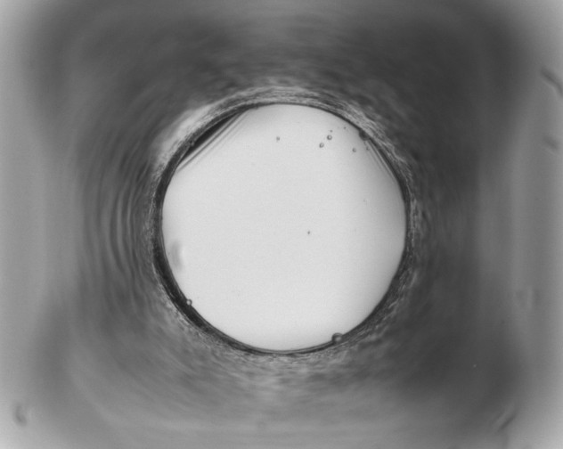 X0000102510007200808291745