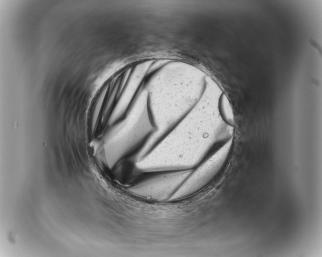 X0000102510008200808291745