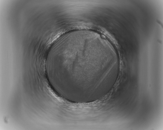 X0000102510009200808291745