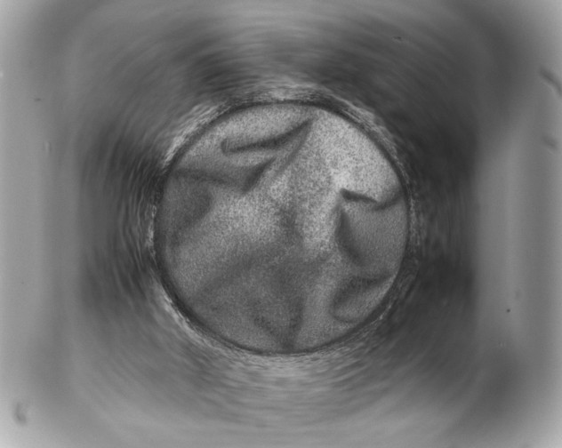 X0000102510010200808291745