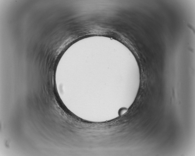 X0000102510011200808291745