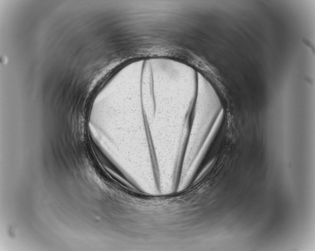 X0000102510012200808291745