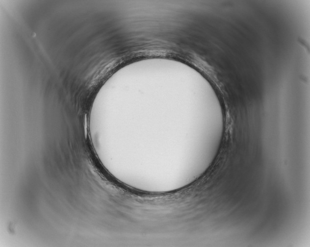 X0000102510013200808291745