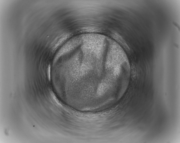X0000102510014200808291745