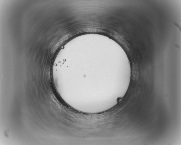 X0000102510015200808291745