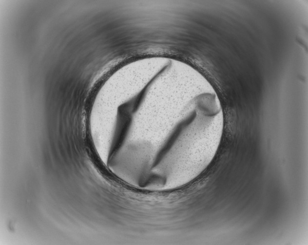 X0000102510016200808291745