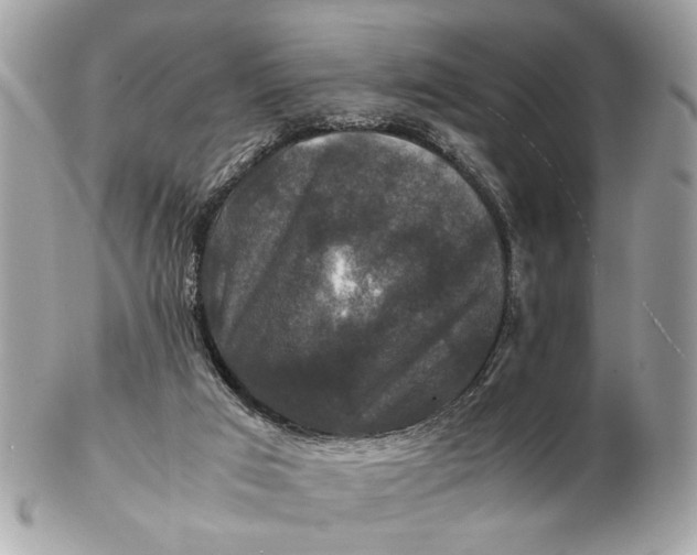 X0000102510017200808291744
