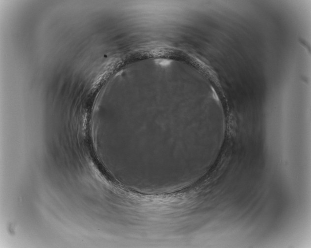 X0000102510018200808291744