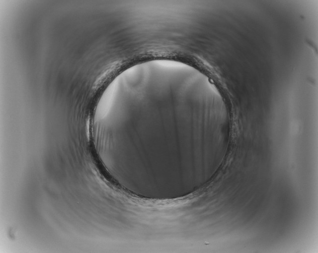 X0000102510019200808291744