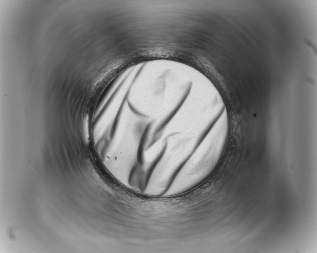 X0000102510020200808291744