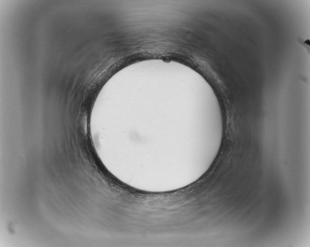X0000102510021200808291744