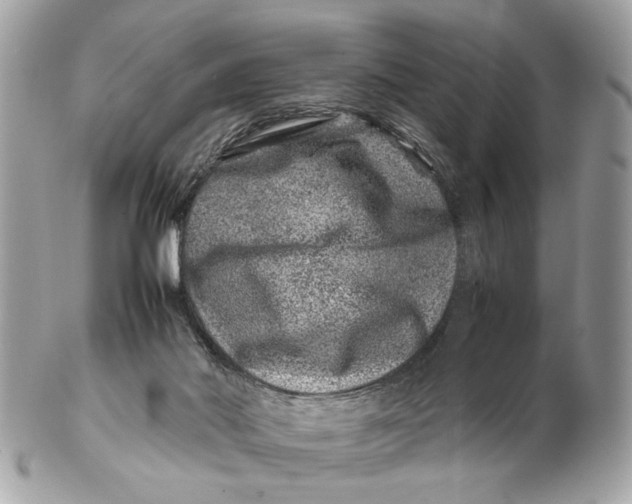 X0000102510022200808291744