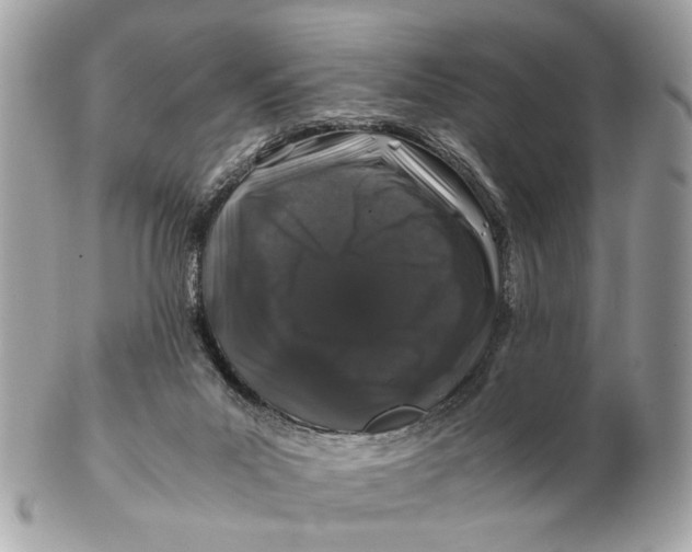 X0000102510023200808291744