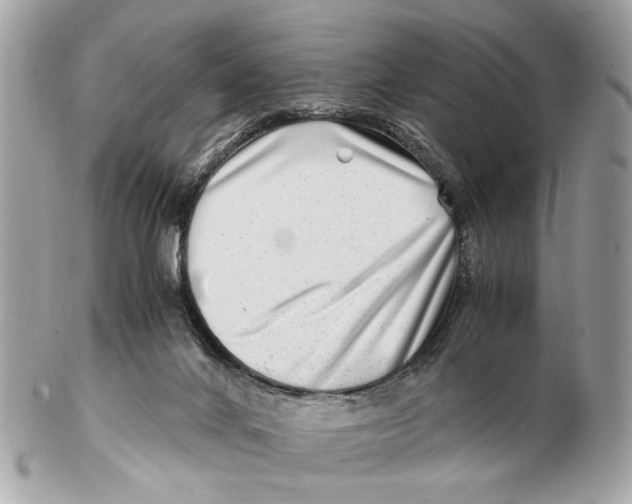 X0000102510024200808291744