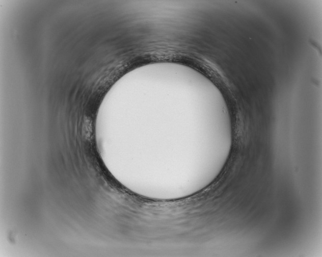 X0000102510025200808291744