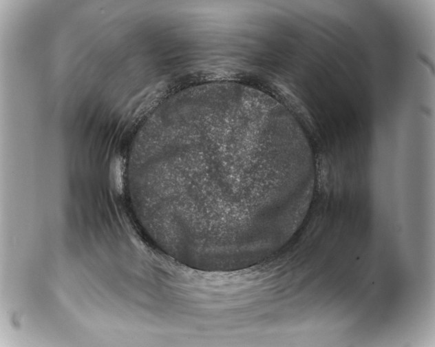 X0000102510026200808291744