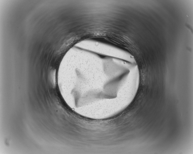 X0000102510028200808291744