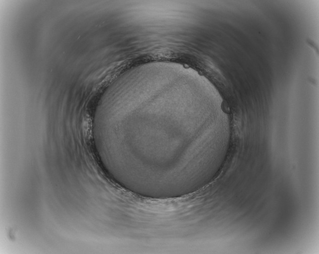 X0000102510029200808291744