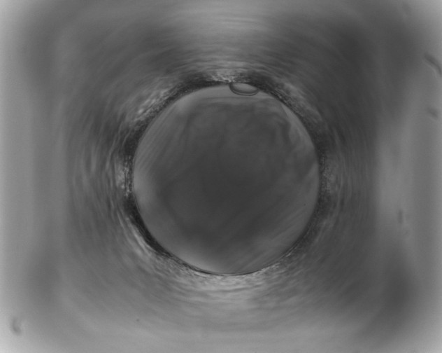 X0000102510031200808291744