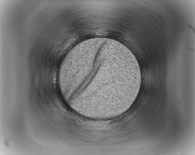 X0000102510032200808291744