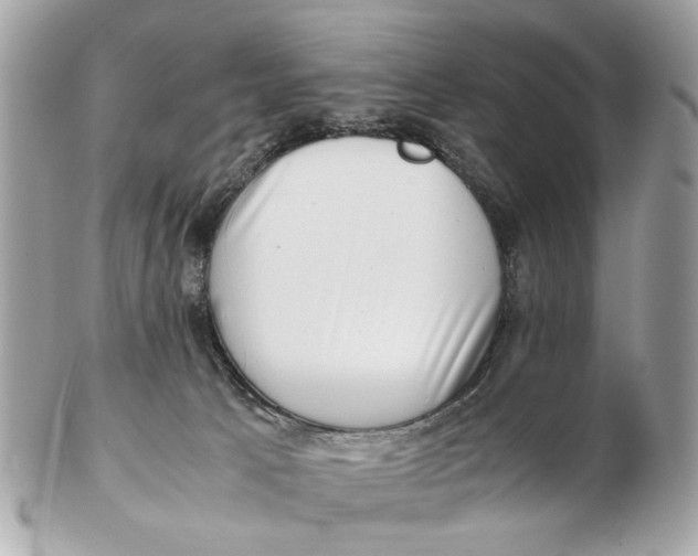 X0000102510033200808291744