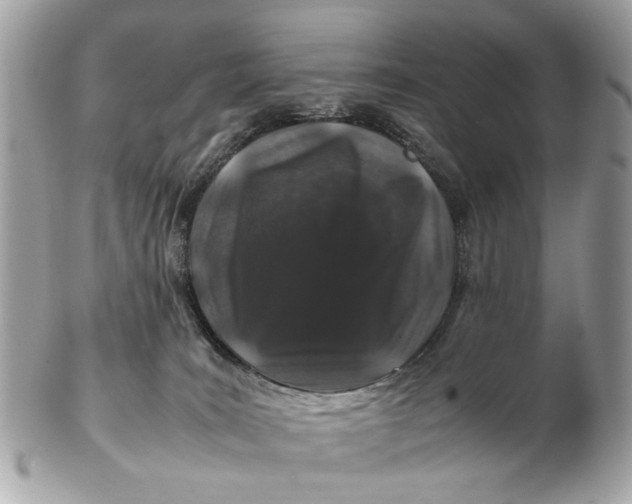 X0000102510035200808291744