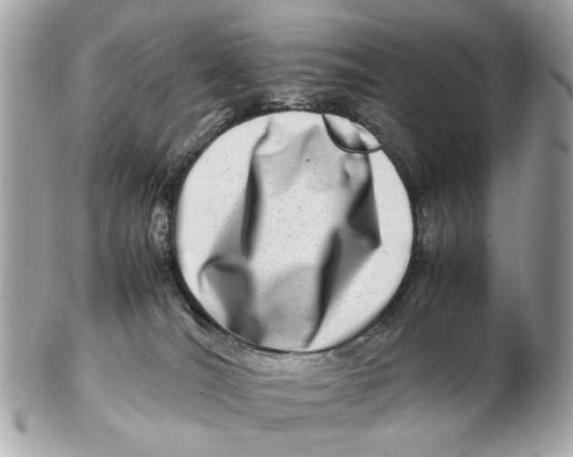 X0000102510036200808291744