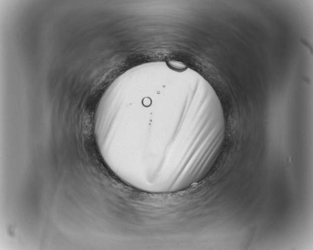 X0000102510037200808291744