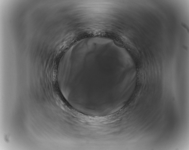 X0000102510039200808291744