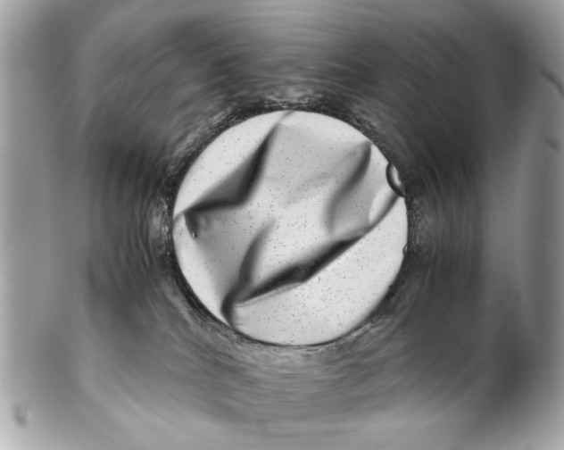 X0000102510040200808291744