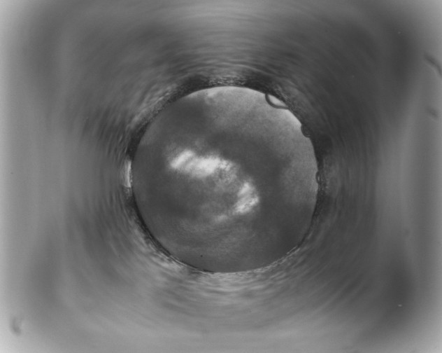 X0000102510041200808291744