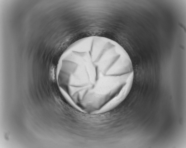 X0000102510042200808291744