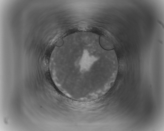X0000102510043200808291744