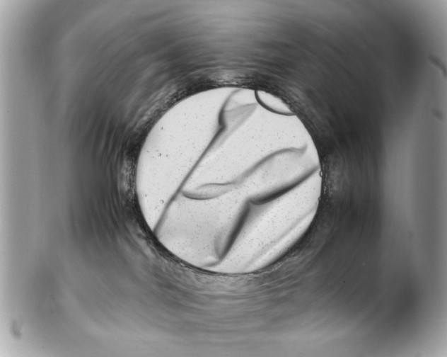 X0000102510044200808291744